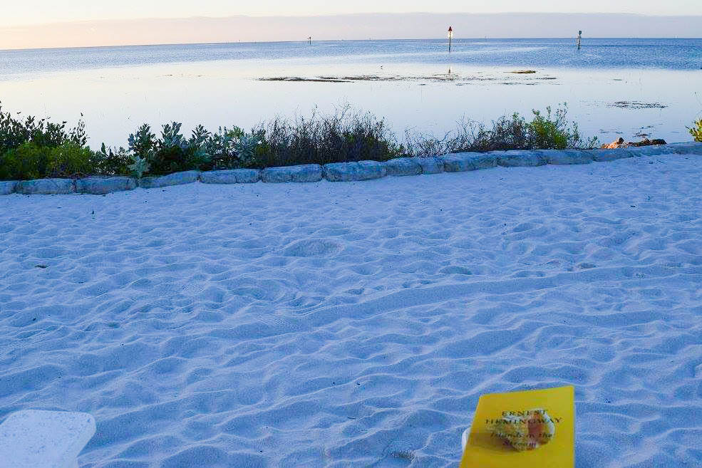 Book by the Beach