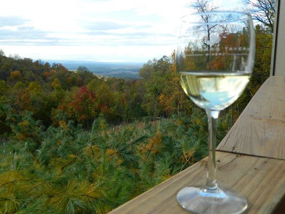 Fall View with Wine
