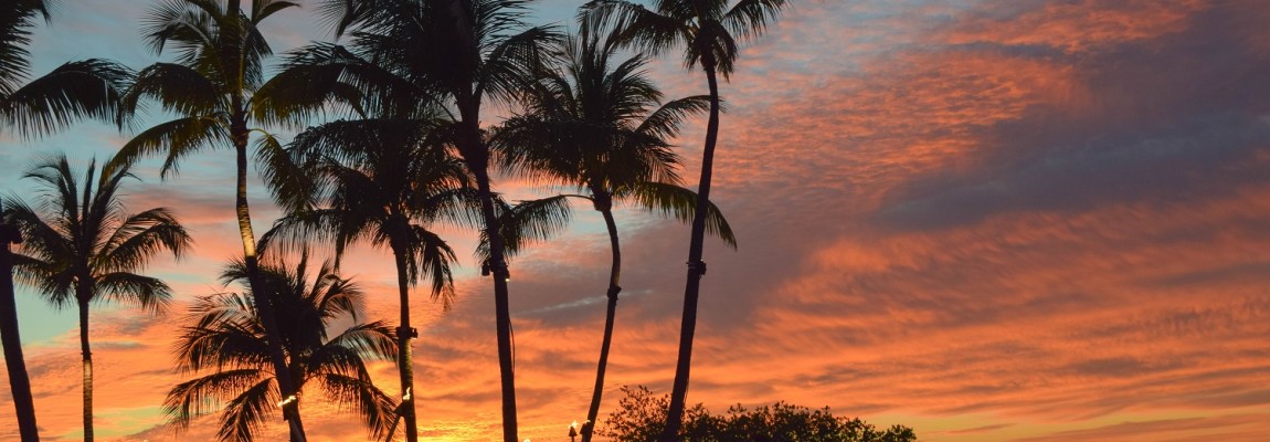 Saluting the Sun