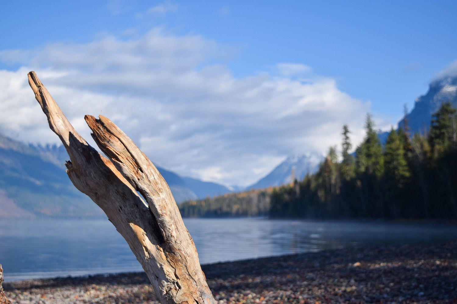 Lake McDonald View