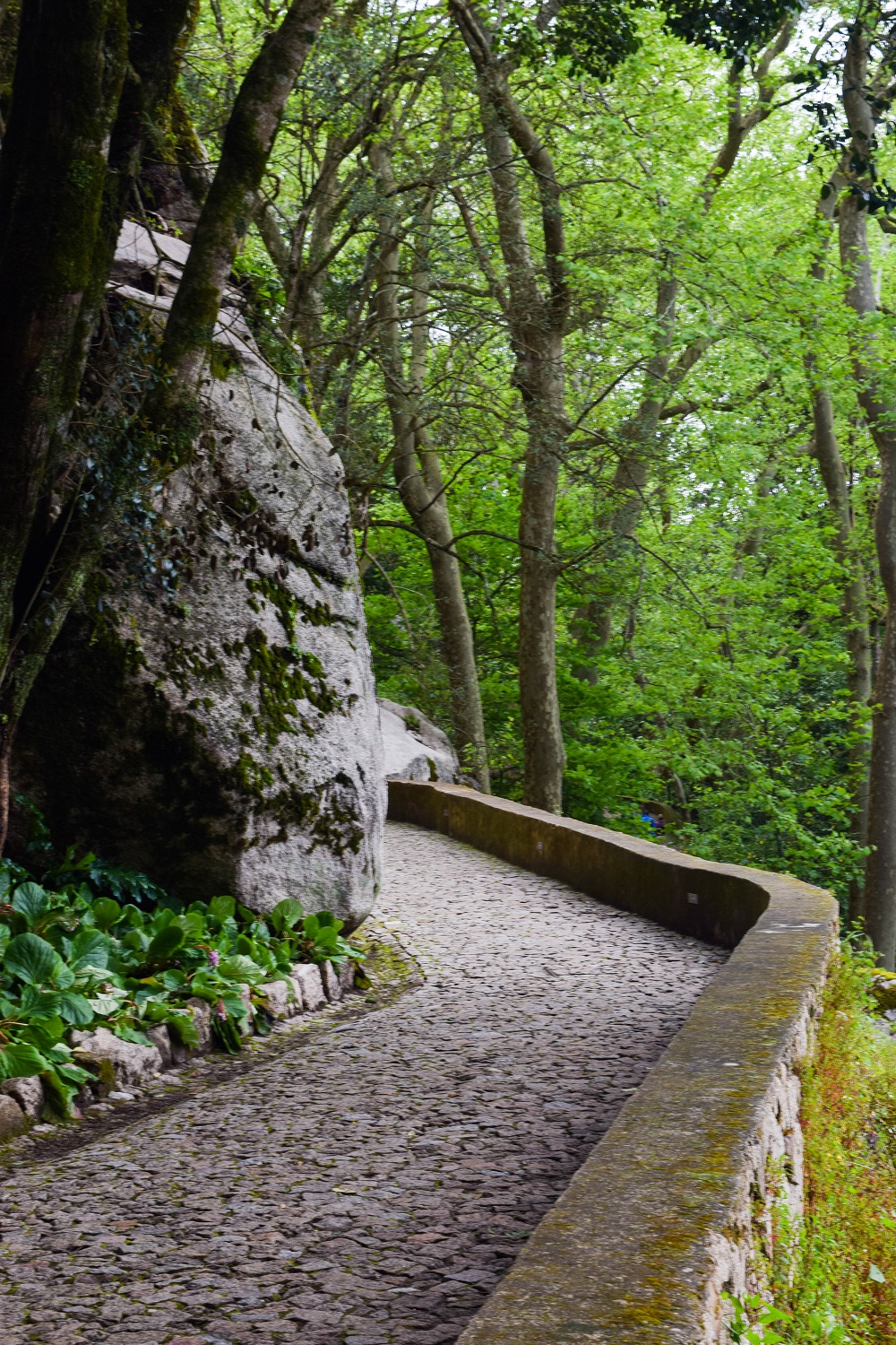 Castelo dos Mouros path