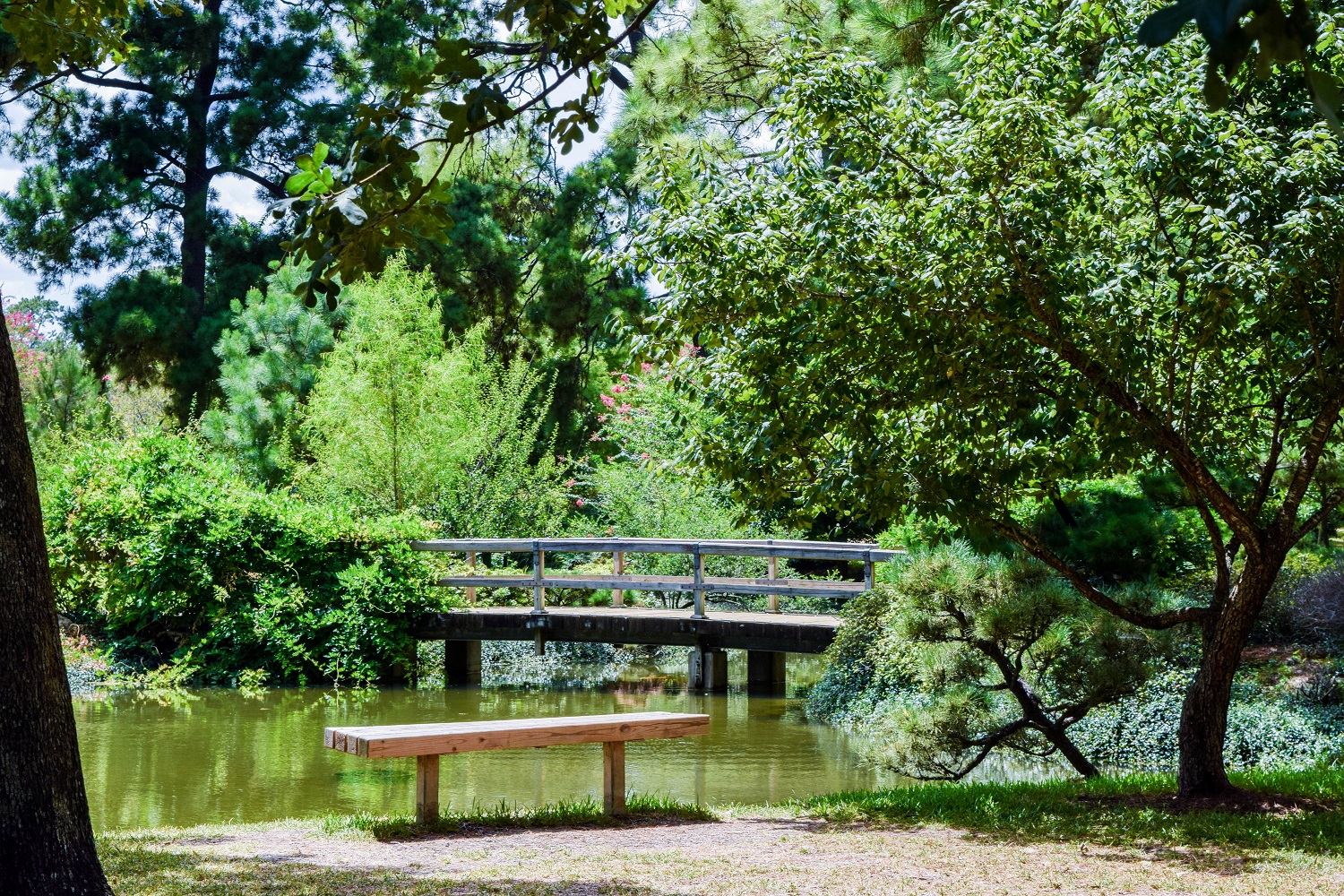 Japanese Garden