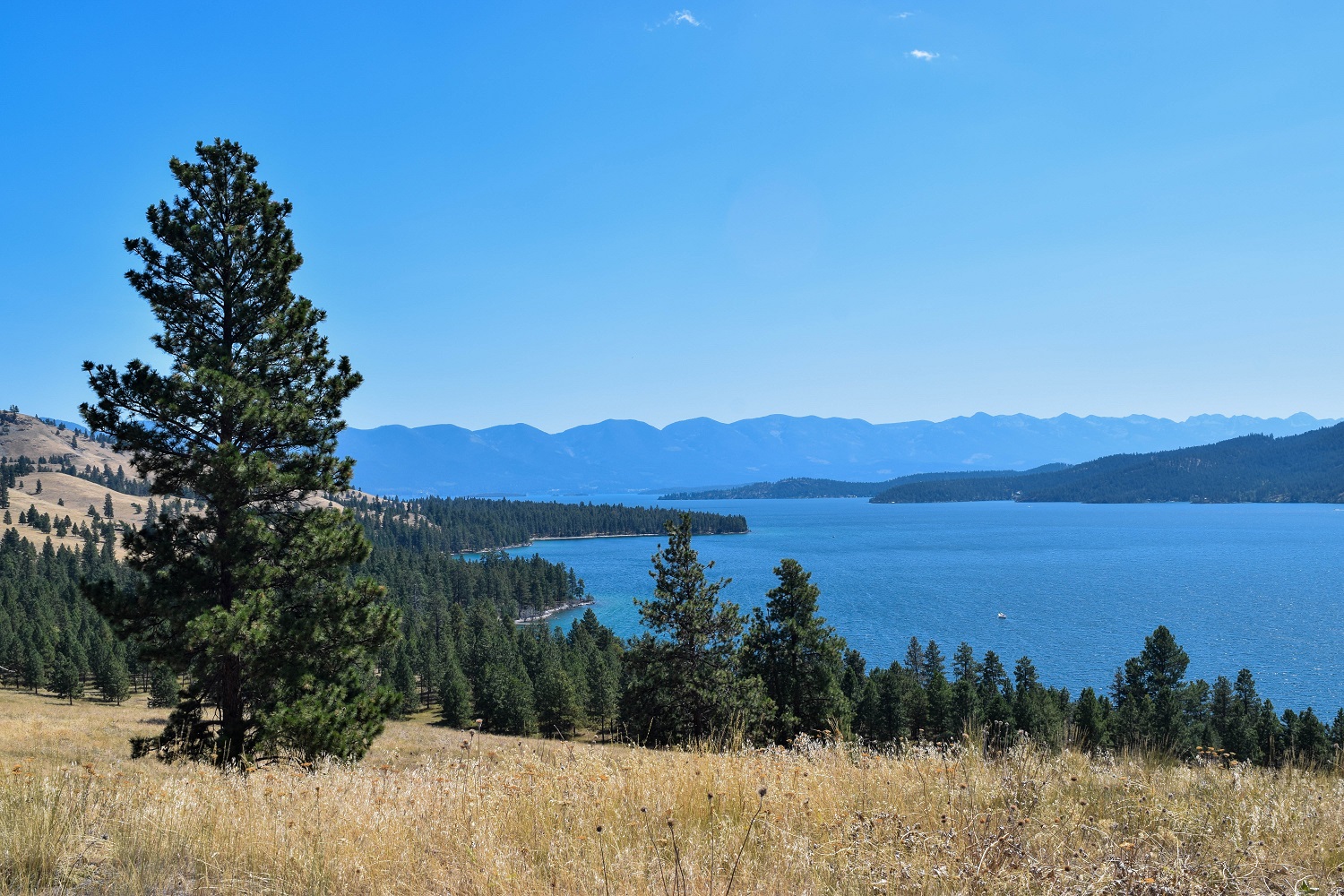 Wild Horse Island View