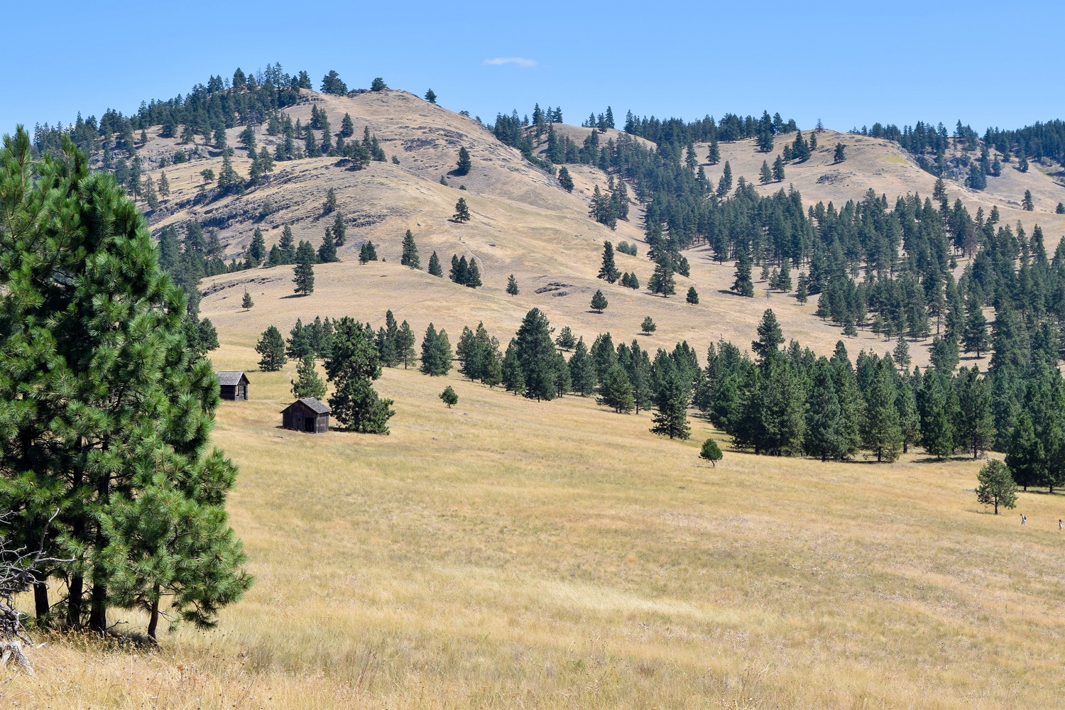 Cabins on Wild Horse Island