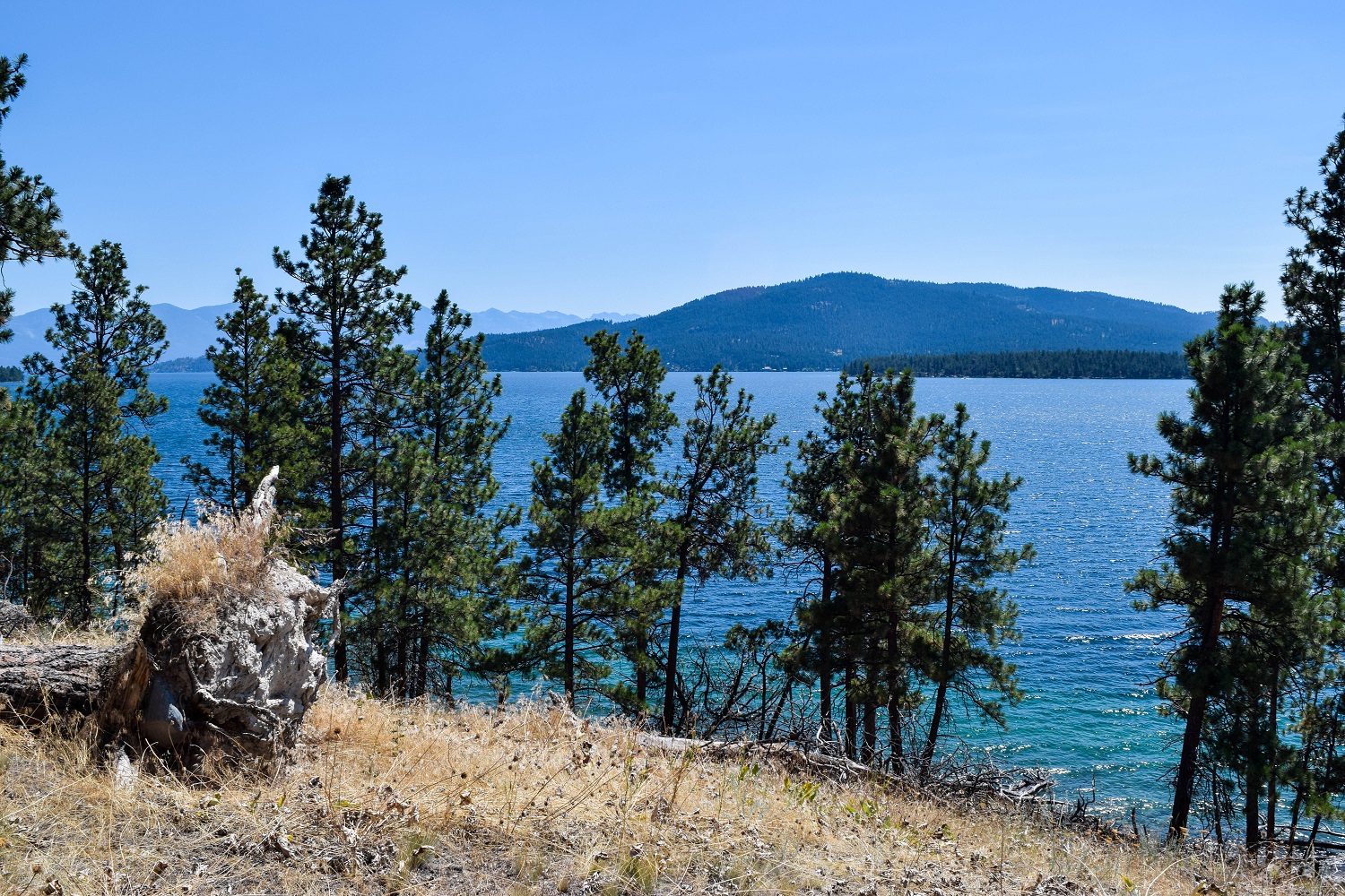 Coast of Wild Horse Island