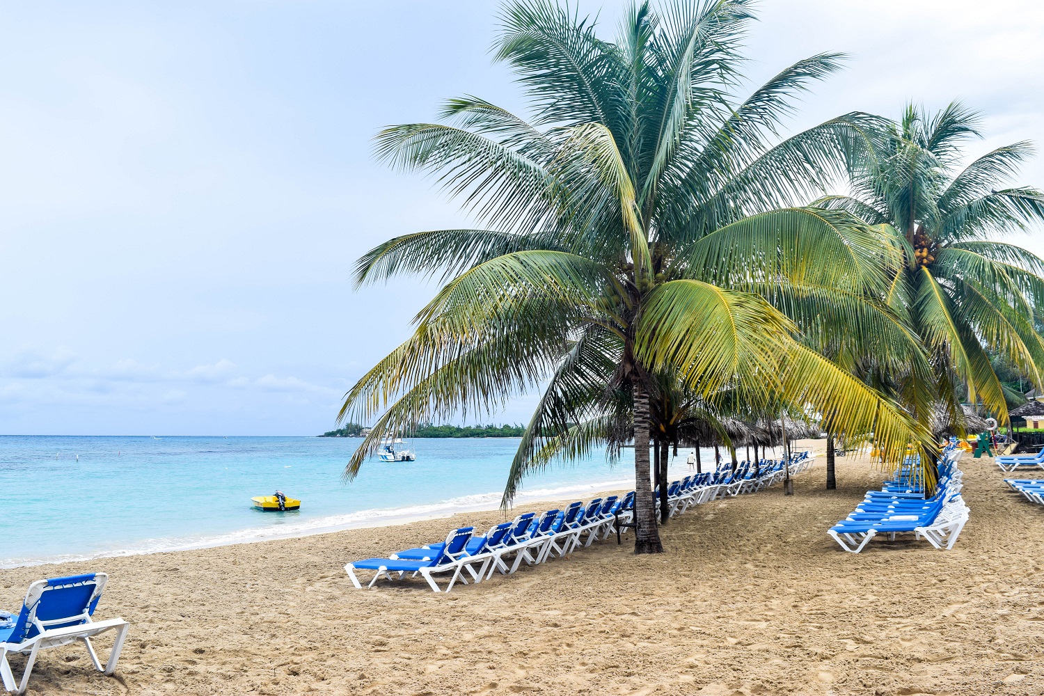 Runaway Bay palm trees and ocean