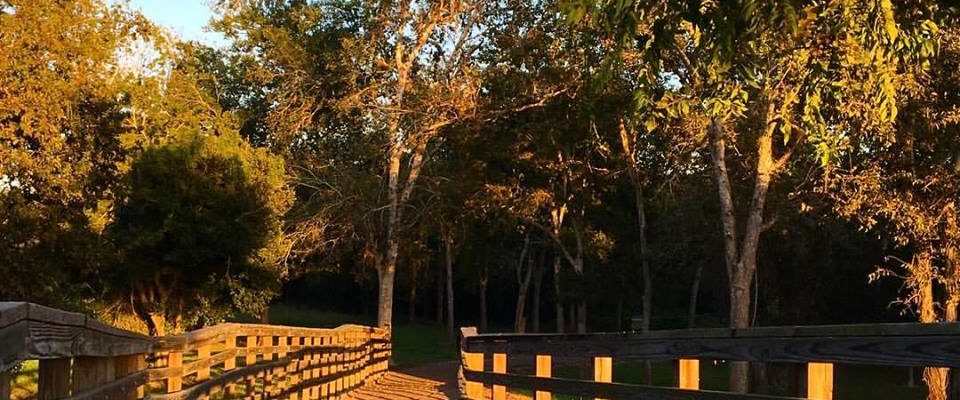 Transitioning into Fall