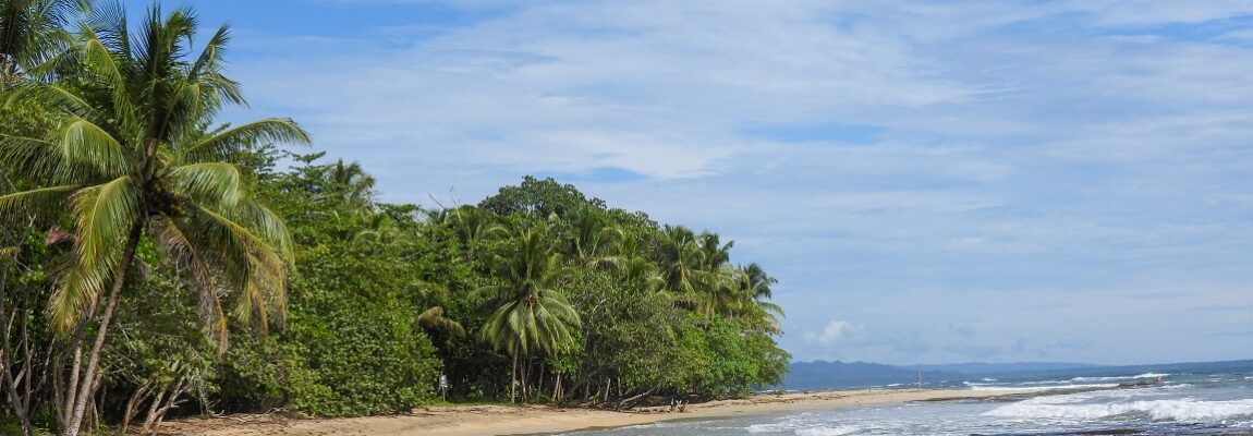 Yoga Retreats