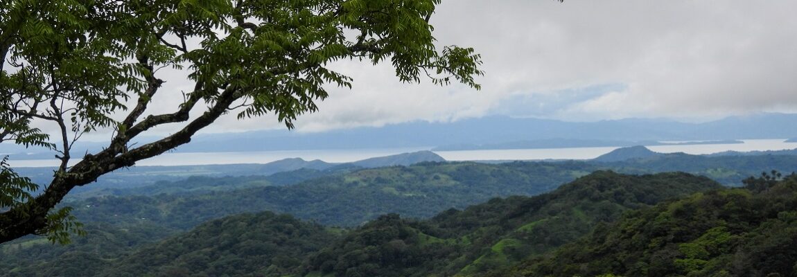 The Magic of Monteverde
